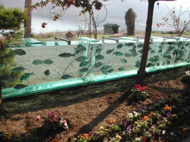 El tanque de agua fue solo la primera etapa de esta construcción extraña valla acuario dificil de construir
