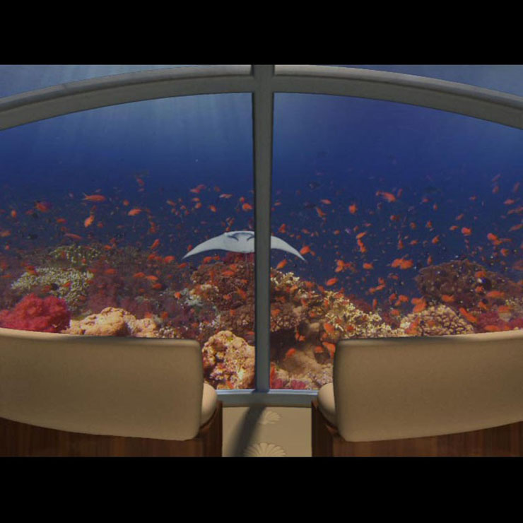 Vistas a la flora y la fauna de las aguas cristalinas del Océano Pacifico abundancia vida oceano pacifico