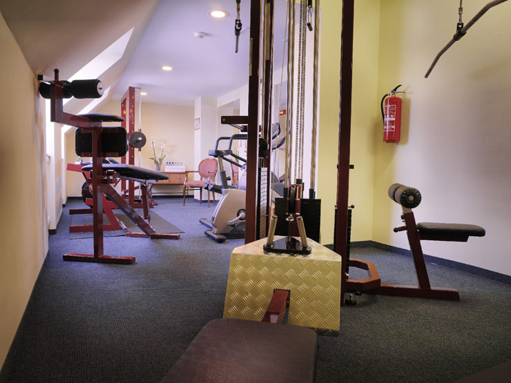La fitness sala del hotel boutique en Bratislava cuenta con equipamiento moderno gimnasio hotel boutique centro bratislava