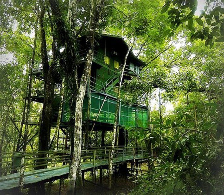 hotel brasil ubicado selva amazonica