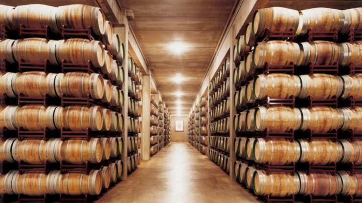 La bodega del Hotel Marqués de Riscal es la primera bodega de esta área y fue construida en el año 1858 imprecionante bodega lujoso hotel rioja