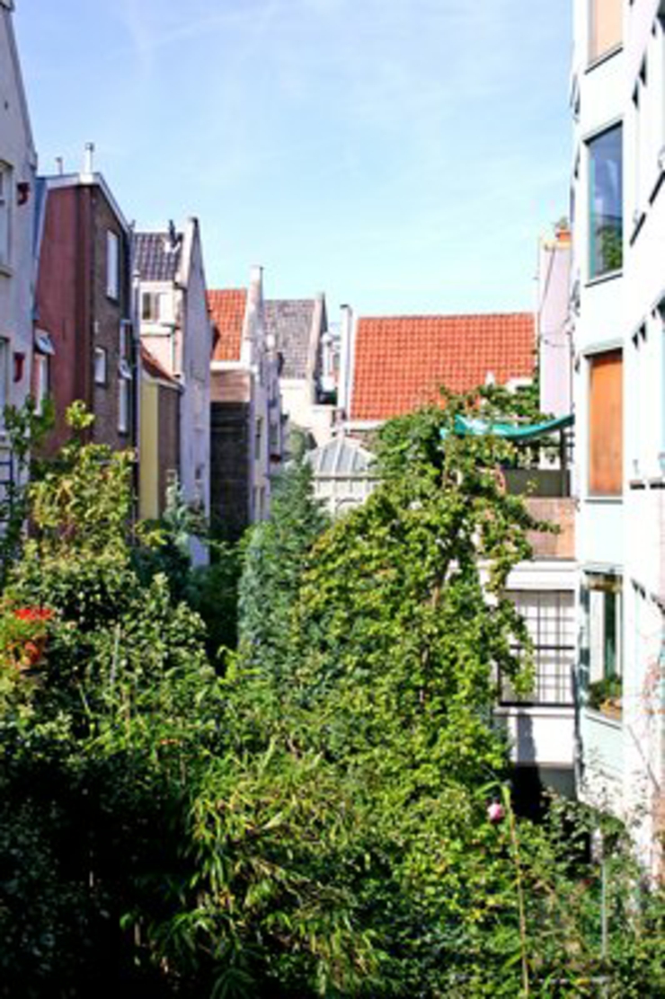 Uno de los hoteles en Amsterdam que ofrece buen servicio por un buen precio hoteles amsterdam precio asequible