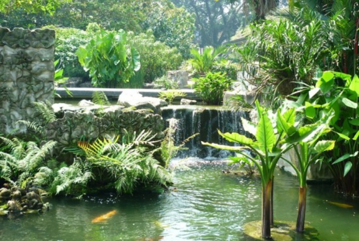 Los Jardines Botánicos están cerca del St.Regis Hotel Singapur jardines maravillosos cerca hotel