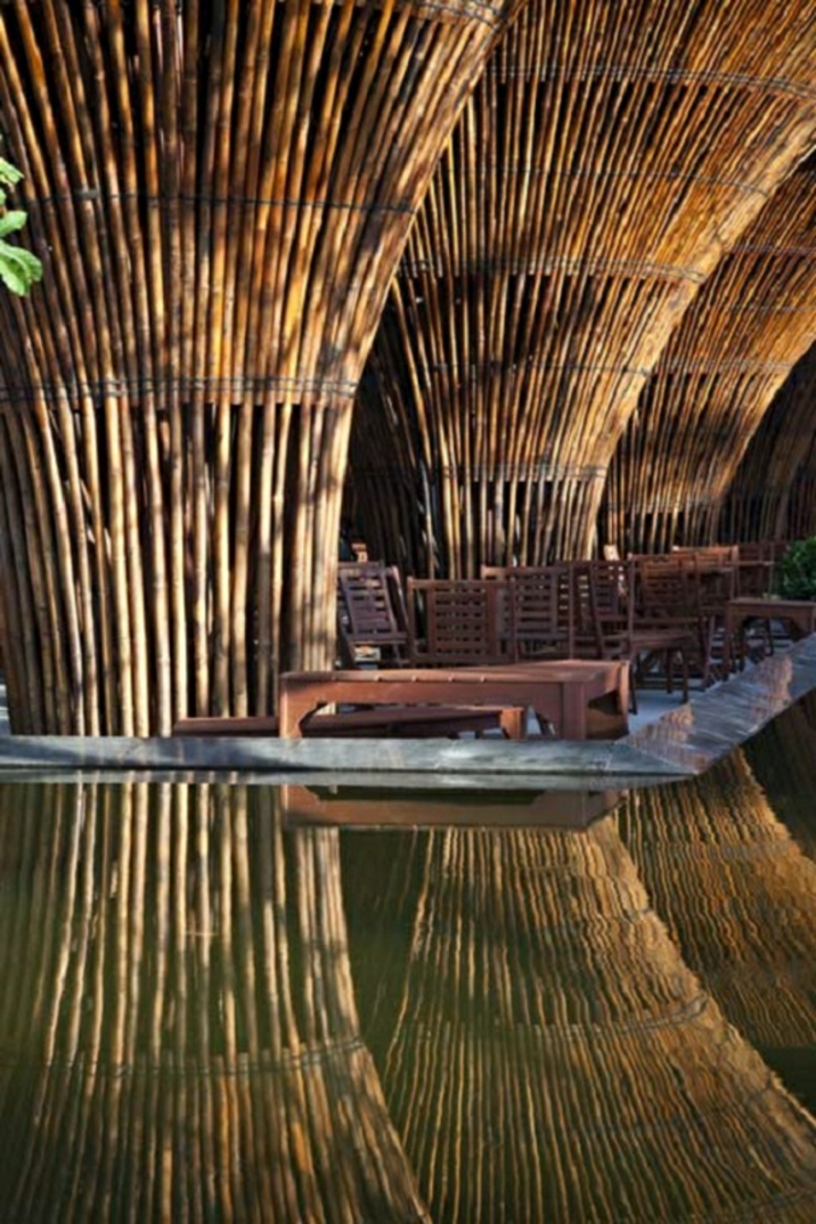 cafe vietnam ecologico