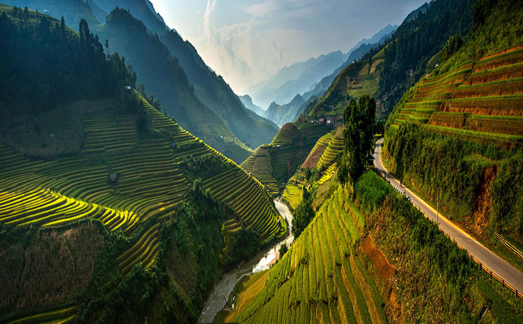 dos mil hectareas terrazas arroz