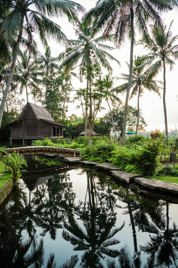 Nadar con los peses en la piscina natural piscina natural hotel boutique bali