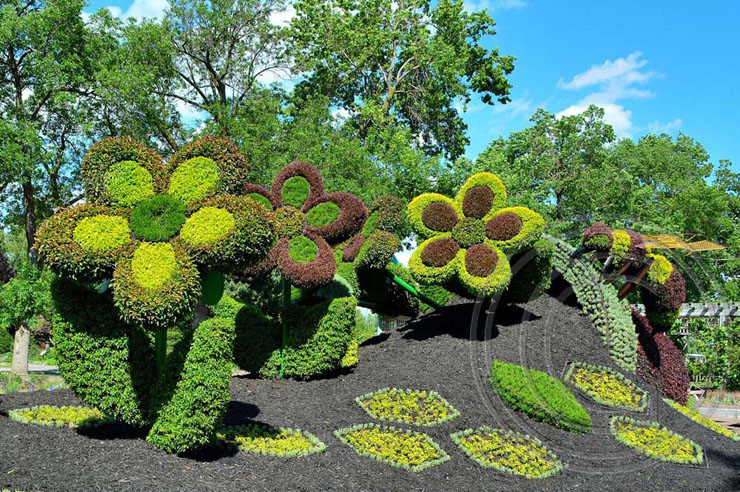 jardin montreal plantas del mundo