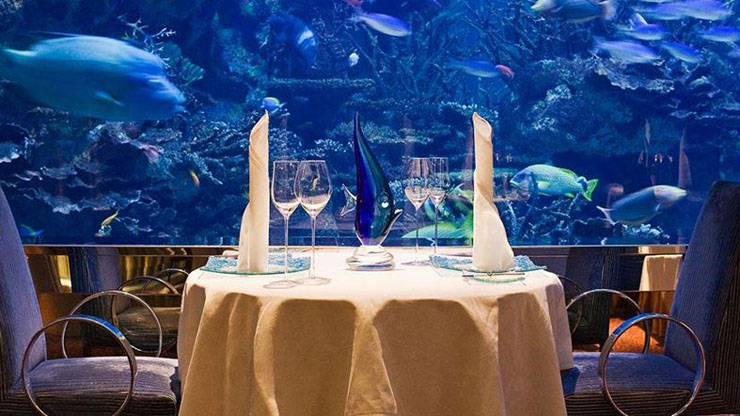 Bar restaurante bajo el agua en Hotel Burj Al Arab, Dubai cenar restaurante rodeado especies marinas