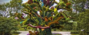 jardin botanico montreal canada