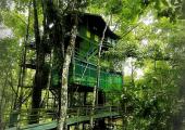 hotel brasil ubicado selva amazonica