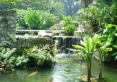 Los Jardines Botánicos están cerca del St.Regis Hotel Singapur jardines maravillosos cerca hotel