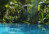 falls resort manuel antonio