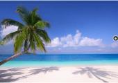 playas magnificas miami beach