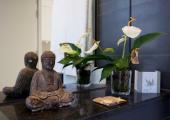 hostal bruselas deco chic