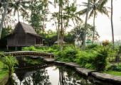 piscina natural hotel boutique bali