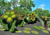 jardin montreal plantas del mundo
