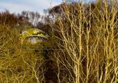 ecopod boutique retreat escocia
