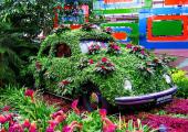 coche cubierto flores jardin botanico