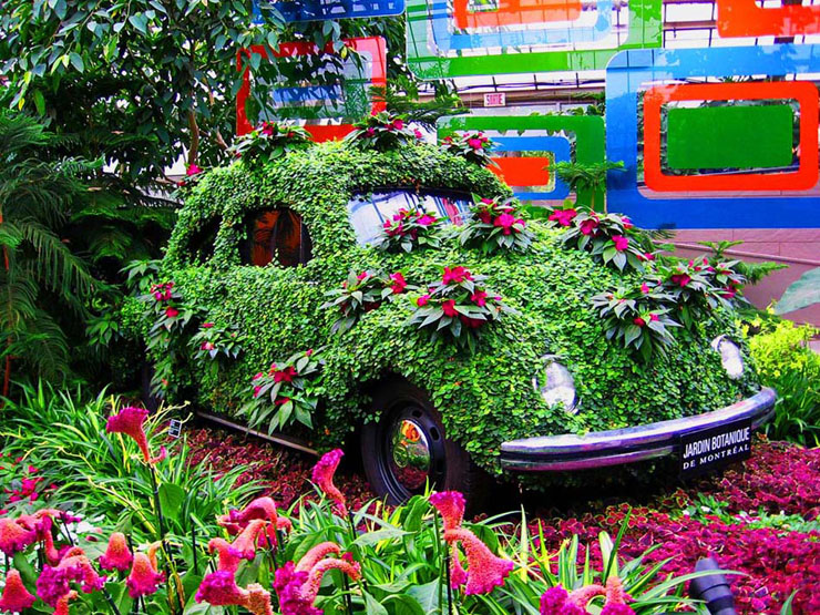 coche cubierto flores jardin botanico